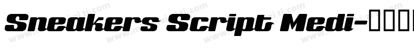 Sneakers Script Medi字体转换